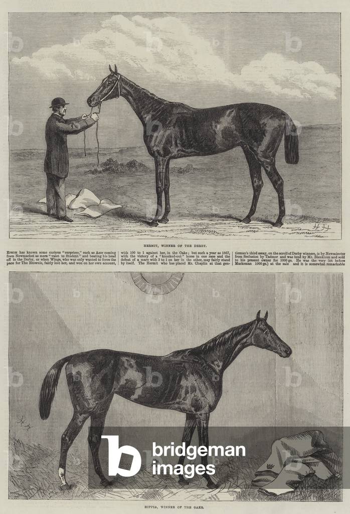 Racehorse (engraving)