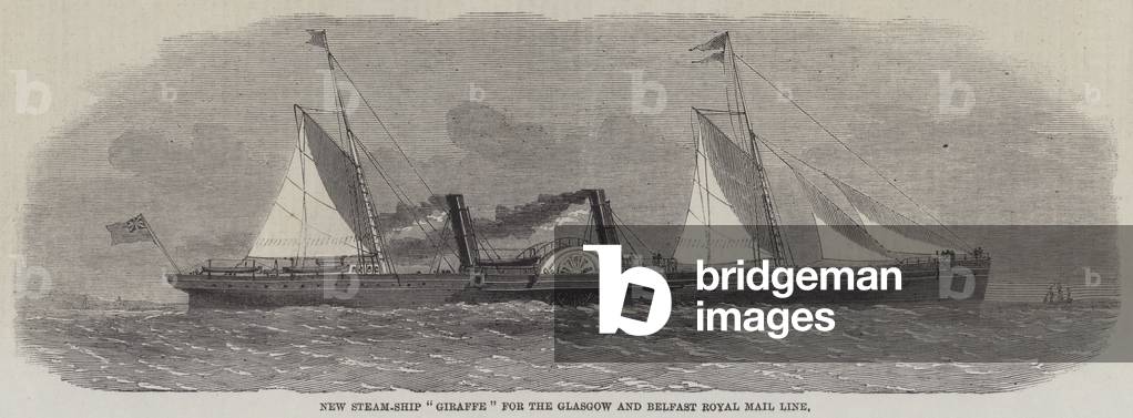New Steam-Ship 