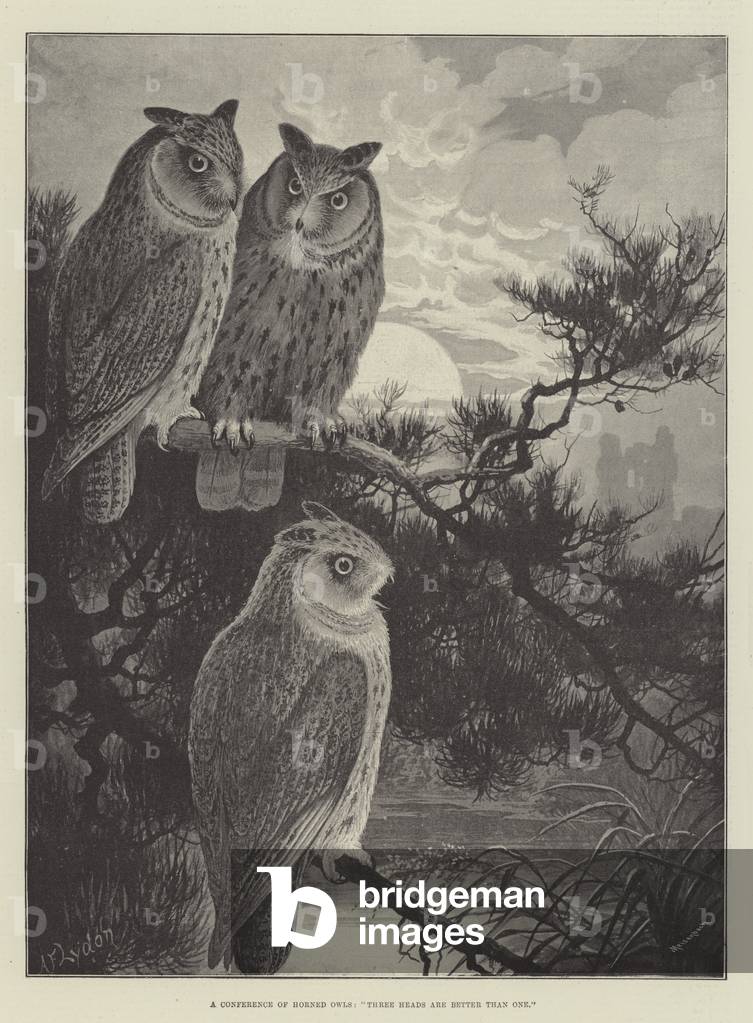 A Conference of Horned Owls, 