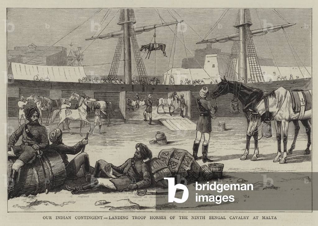 Our Indian Contingent, landing Troop Horses of the Ninth Bengal Cavalry at Malta (engraving)