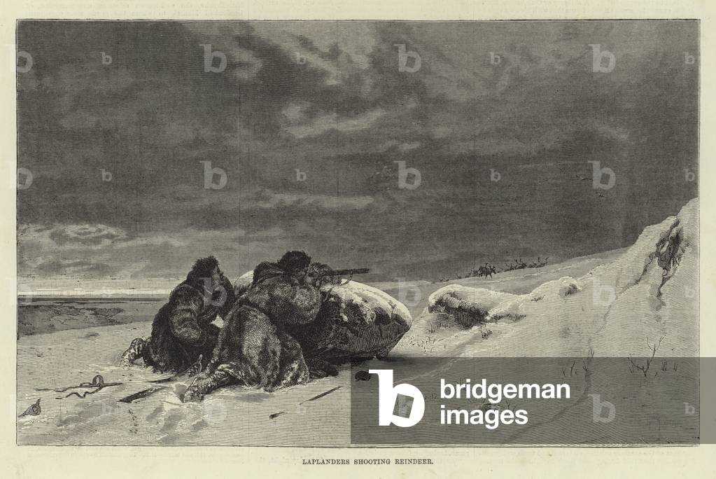 Laplanders shooting reindeer (engraving)
