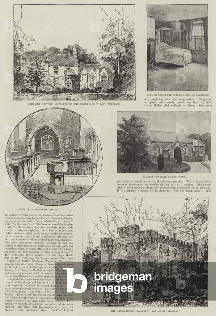 Alfred, Baron Tennyson, Poet Laureate (engraving)