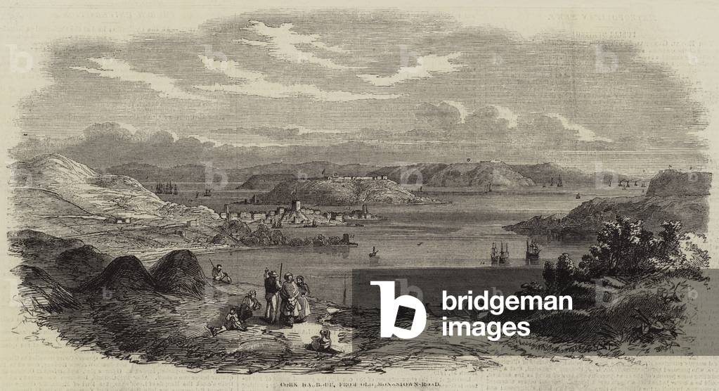 Cork Harbour (engraving)