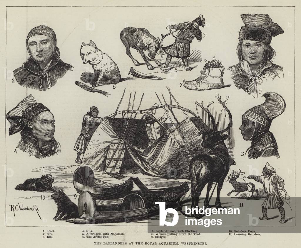 The Laplanders at the Royal Aquarium, Westminster (engraving)
