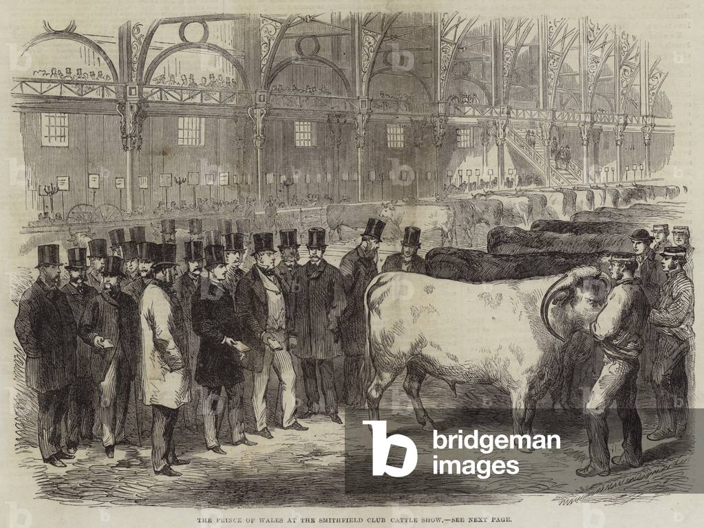 The Prince of Wales at the Smithfield Club Cattle Show (engraving)