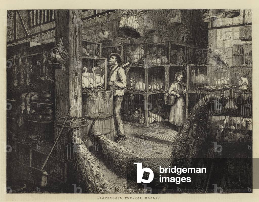 Leadenhall Poultry Market (engraving)