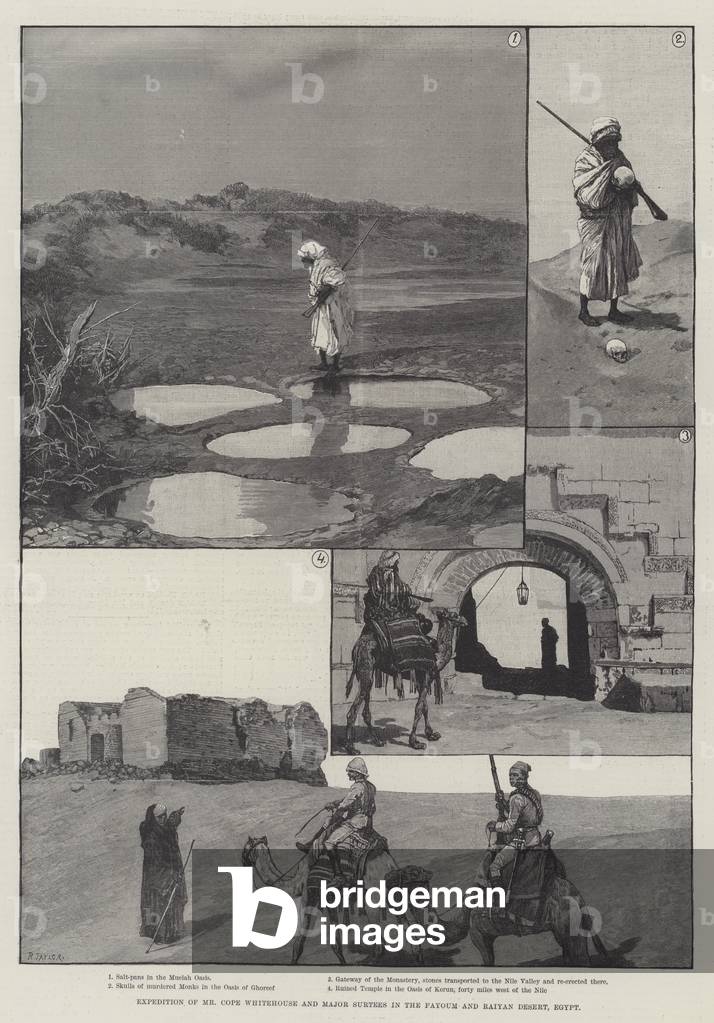 Expedition of Mr Cope Whitehouse and Major Surtees in the Fayoum and Raiyan Desert, Egypt (engraving)