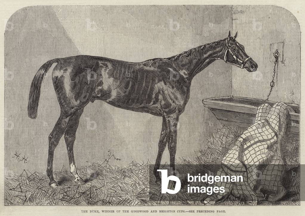 The Duke, Winner of the Goodwood and Brighton Cups (engraving)
