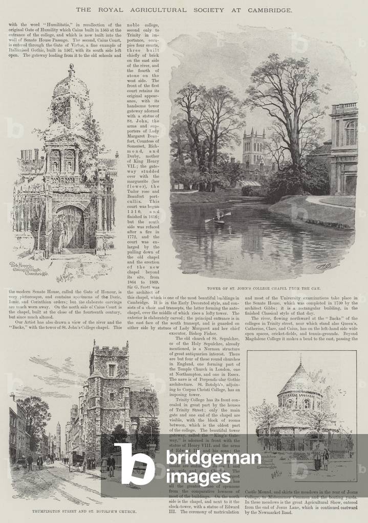 The Royal Agricultural Society at Cambridge (engraving)