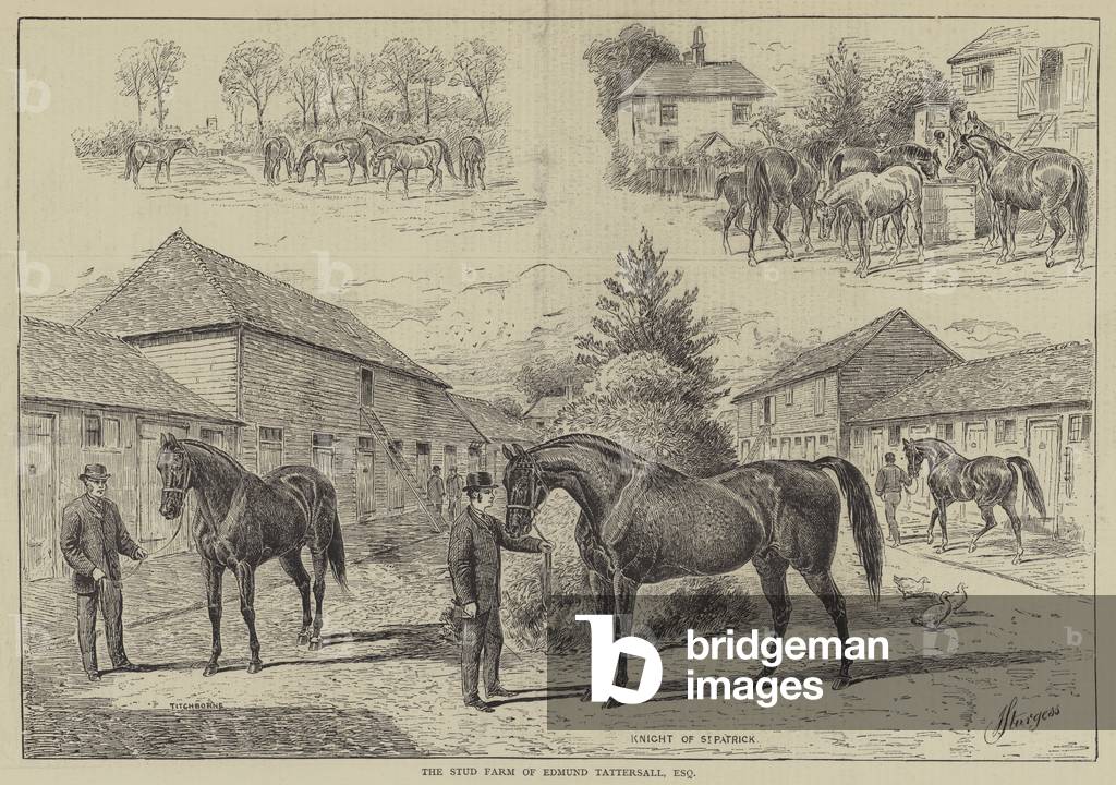 The Stud Farm of Edmund Tattersall, Esquire (engraving)