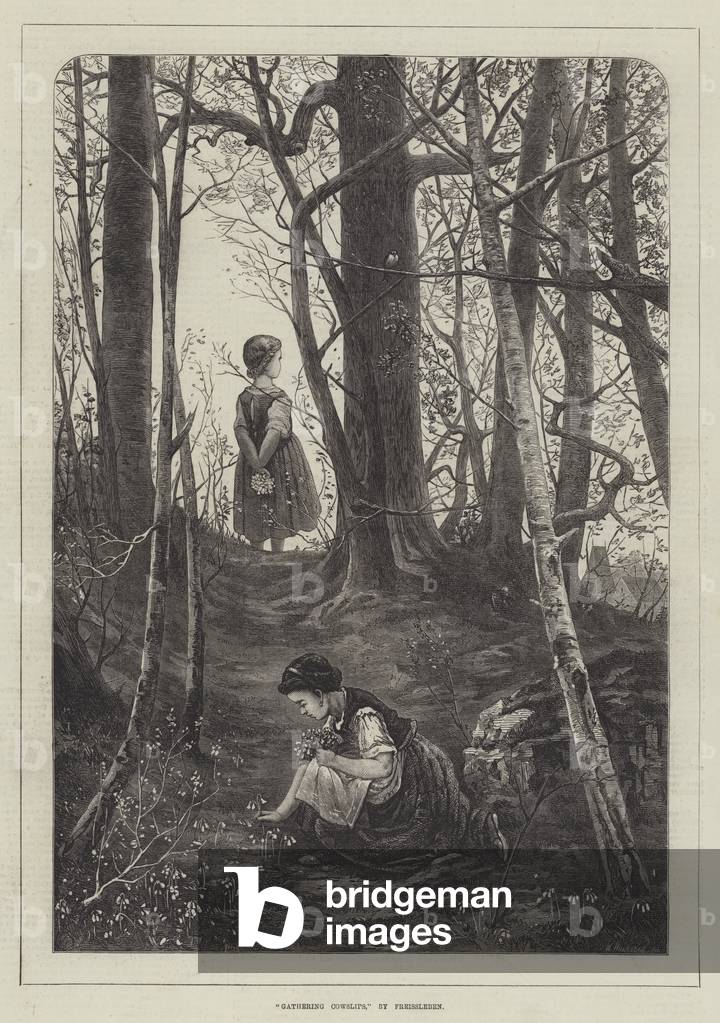 Gathering Cowslips (engraving)