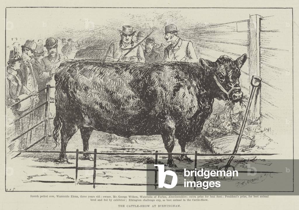 The Cattle-Show at Birmingham (engraving)