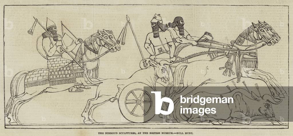 The Nimroud Sculptures, at the British Museum, Bull Hunt (engraving)