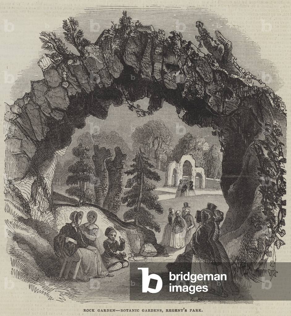 Rock Garden, Botanic Gardens, Regent's Park (engraving)