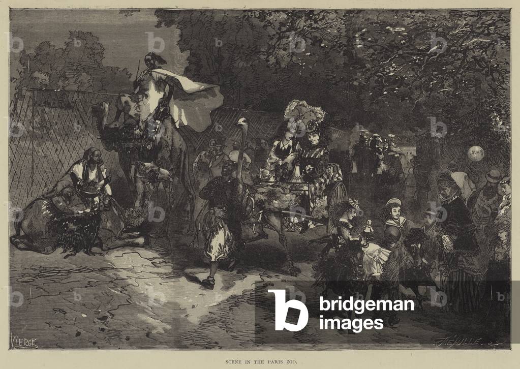 Scene in the Paris Zoo (engraving)