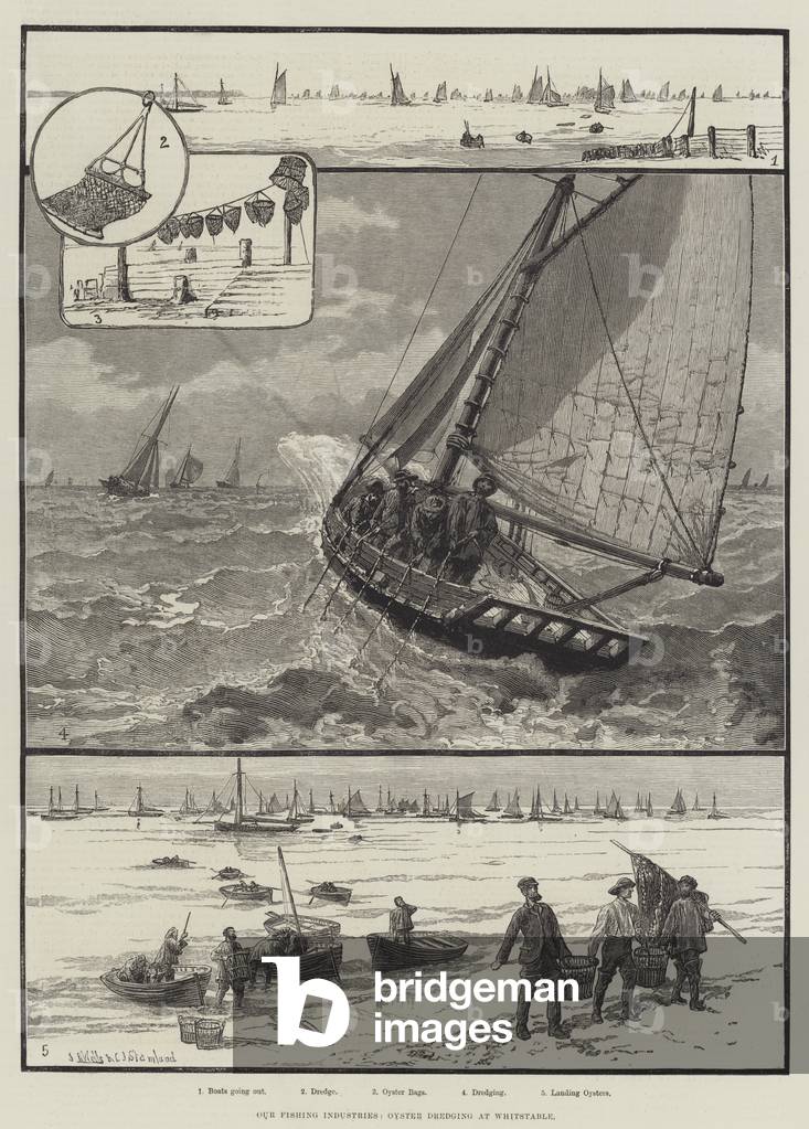 Our Fishing Industries, Oyster Dredging at Whitstable (engraving)