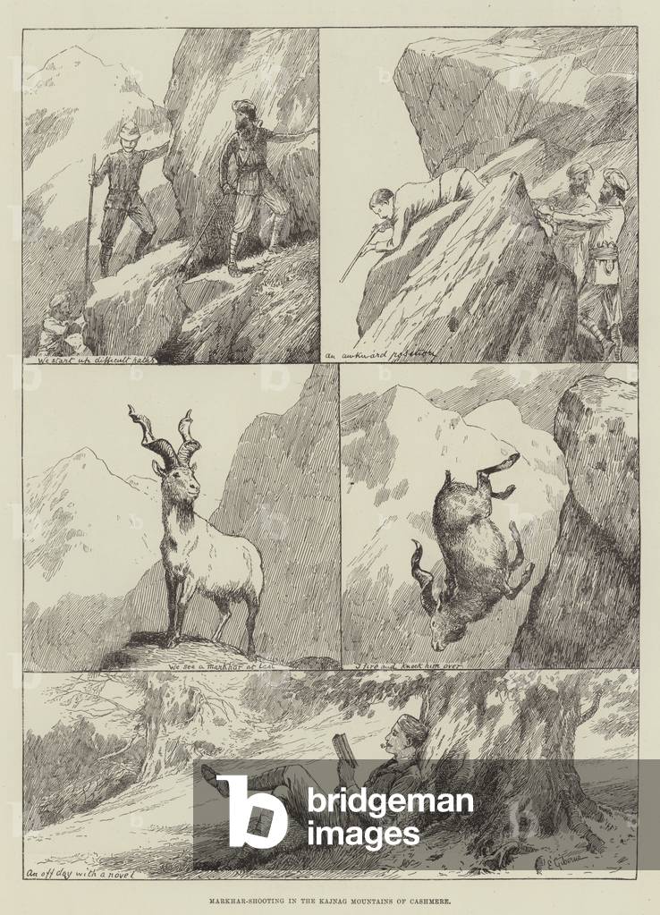 Markhar-Shooting in the Kajnag Mountains of Cashmere (engraving)