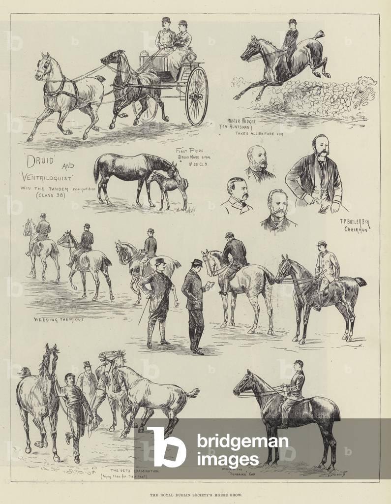 The Royal Dublin Society's Horse Show (engraving)