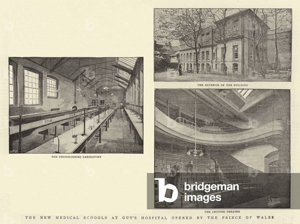 The New Medical Schools at Guy's Hospital opened by the Prince of Wales (b/w photo)