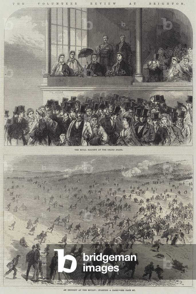 The Volunteer Review at Brighton (engraving)