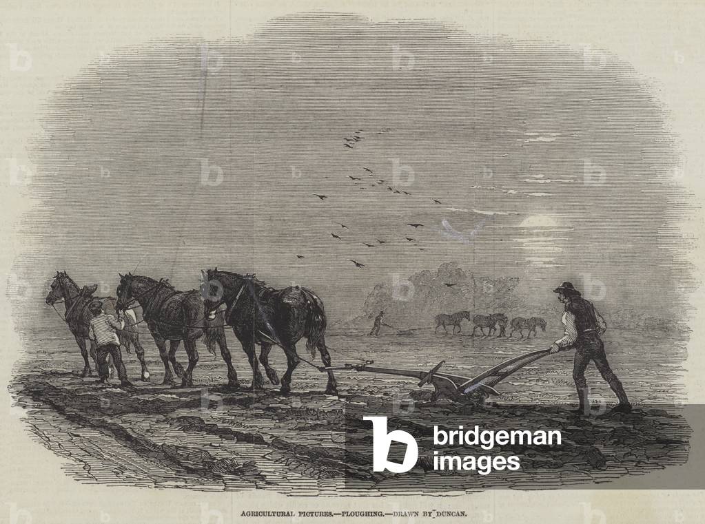 Agricultural Pictures, Ploughing (engraving)