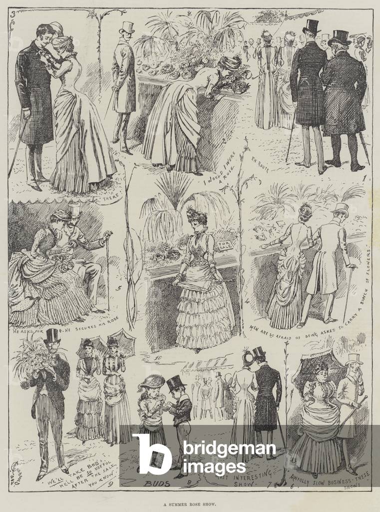 A Summer Rose Show (engraving)