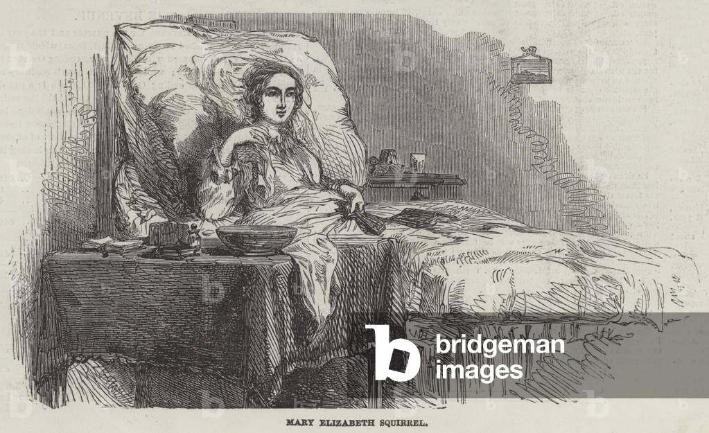 Mary Elizabeth Squirrel (engraving)