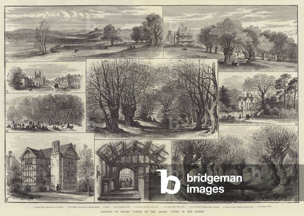 Opening of Epping Forest by the Queen, Views in the Forest (engraving)