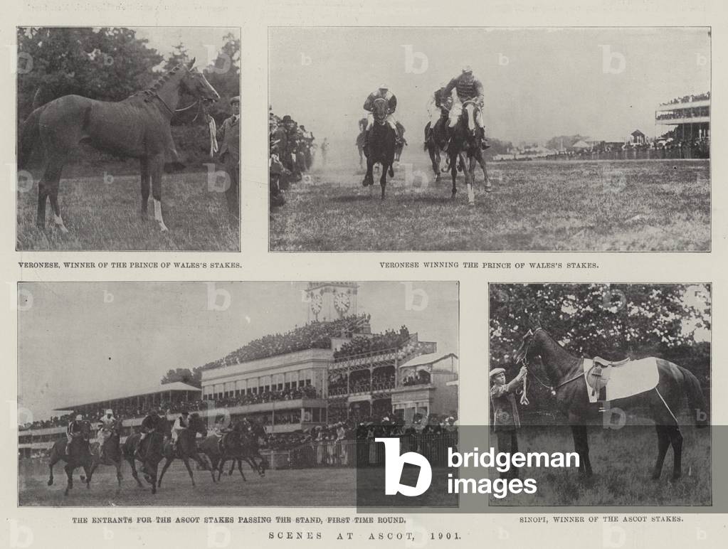 Scenes at Ascot, 1901 (b/w photo)