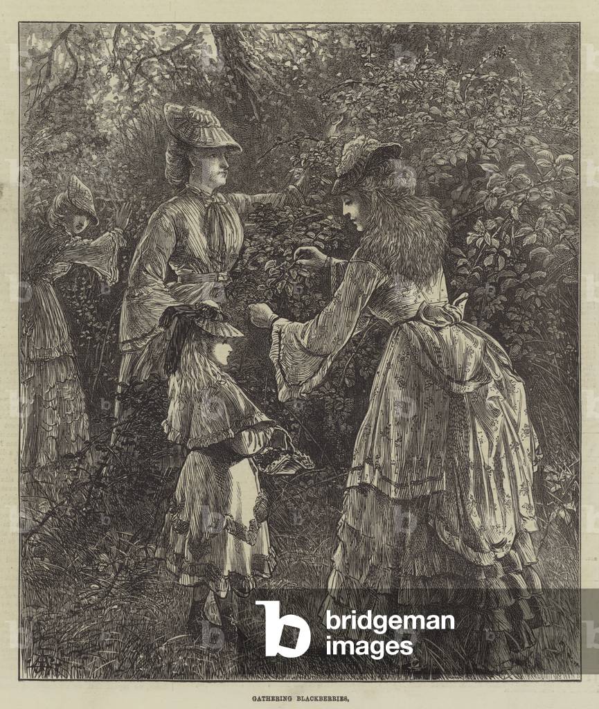Gathering Blackberries (engraving)