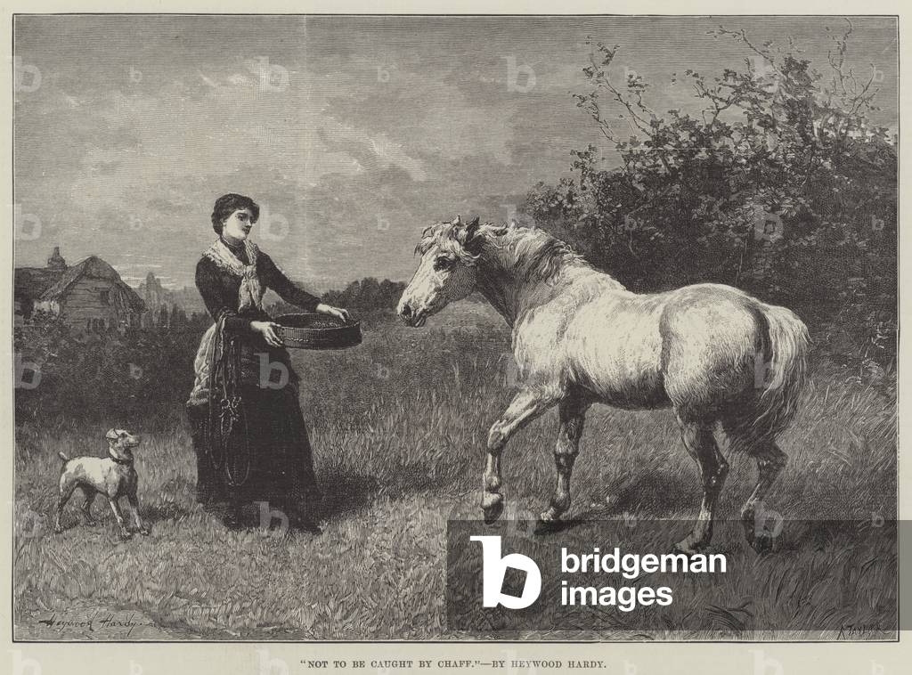 Not To Be Caught By Chaff (engraving)