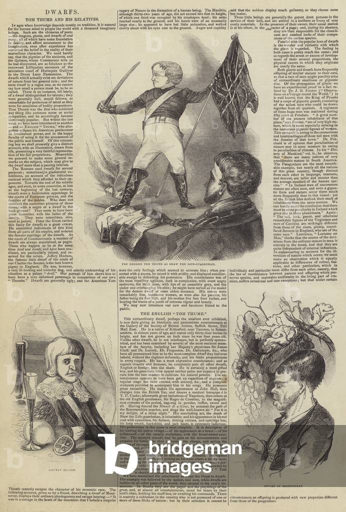 Tom Thumb and his Relatives (engraving)