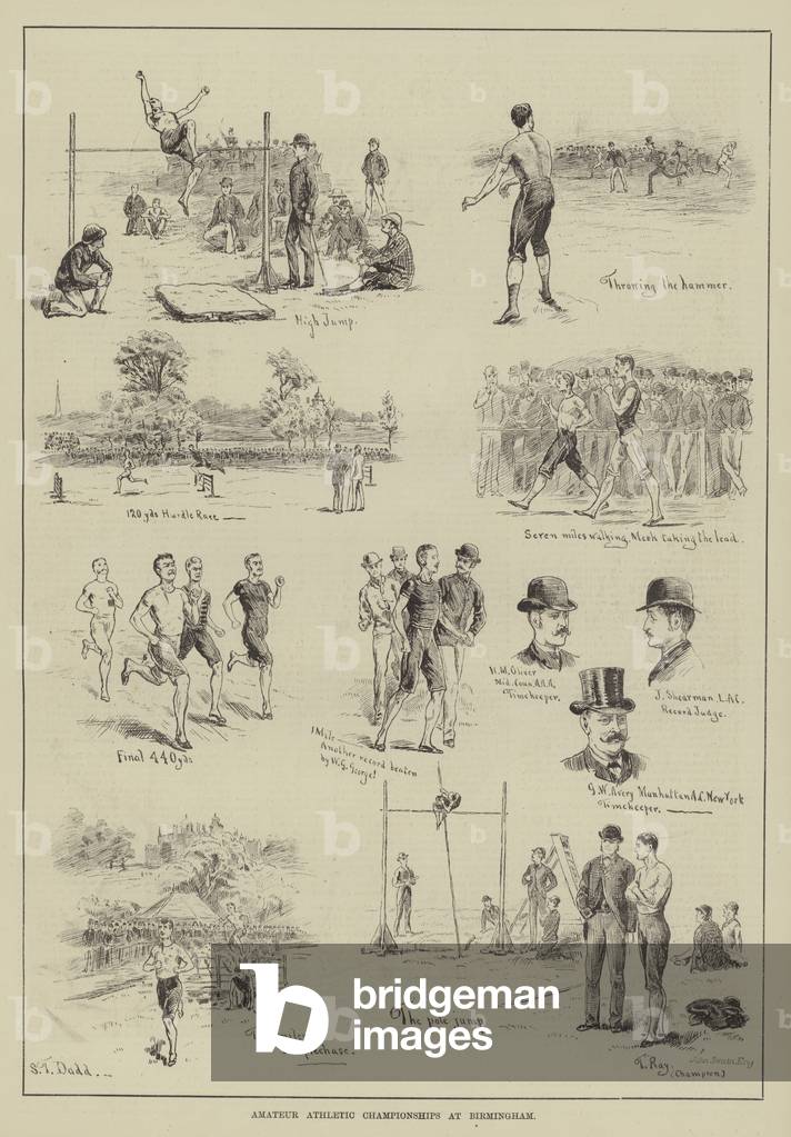 Amateur Athletic Championships at Birmingham (engraving)