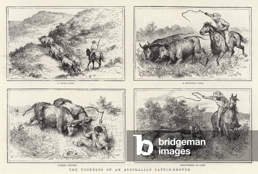 The Troubles of an Australian Cattle-Drover (litho)