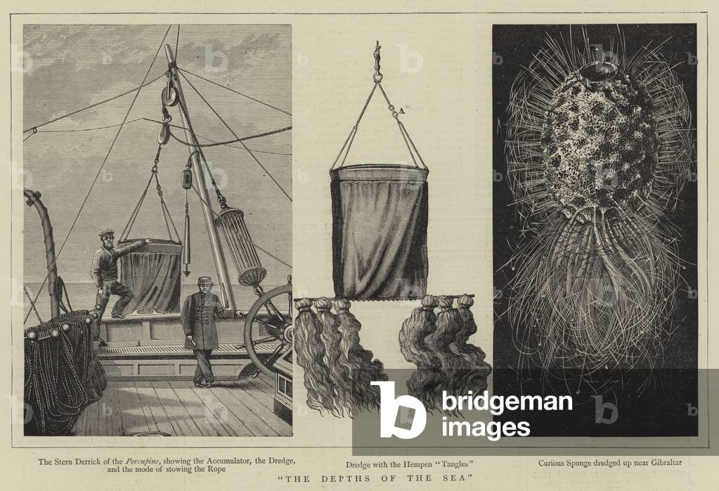 The Depths of the Sea (engraving)