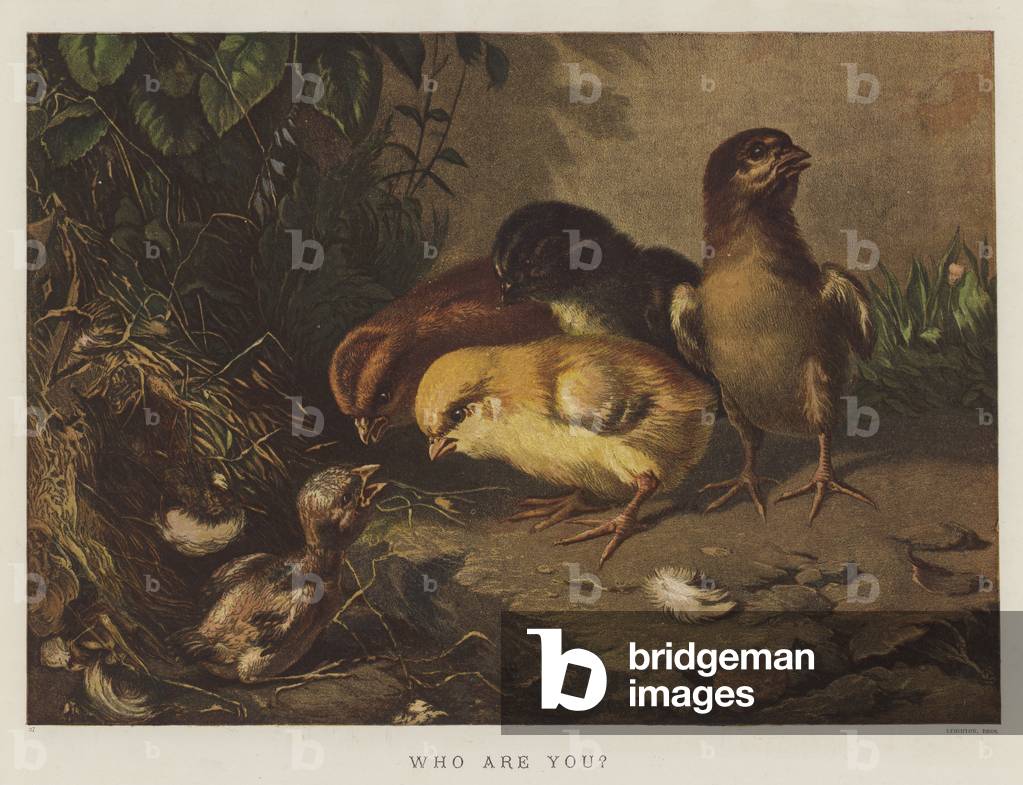 Who Are You? (chromolitho)