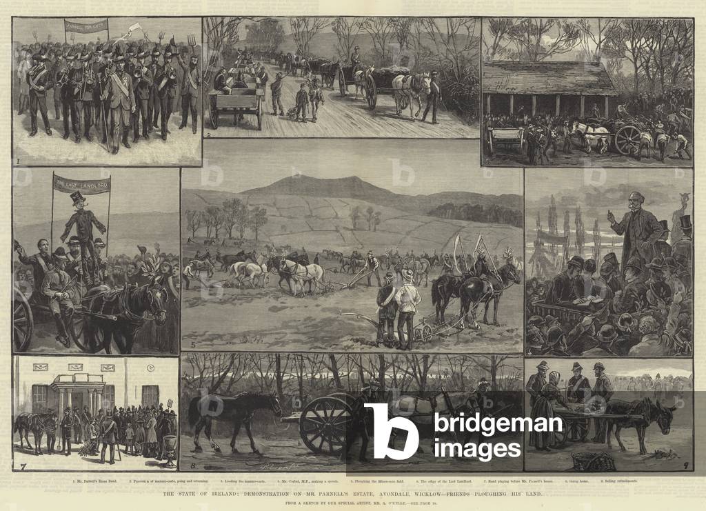 The State of Ireland, Demonstration on Mr Parnell's Estate, Avondale, Wicklow, Friends ploughing his Land (engraving)