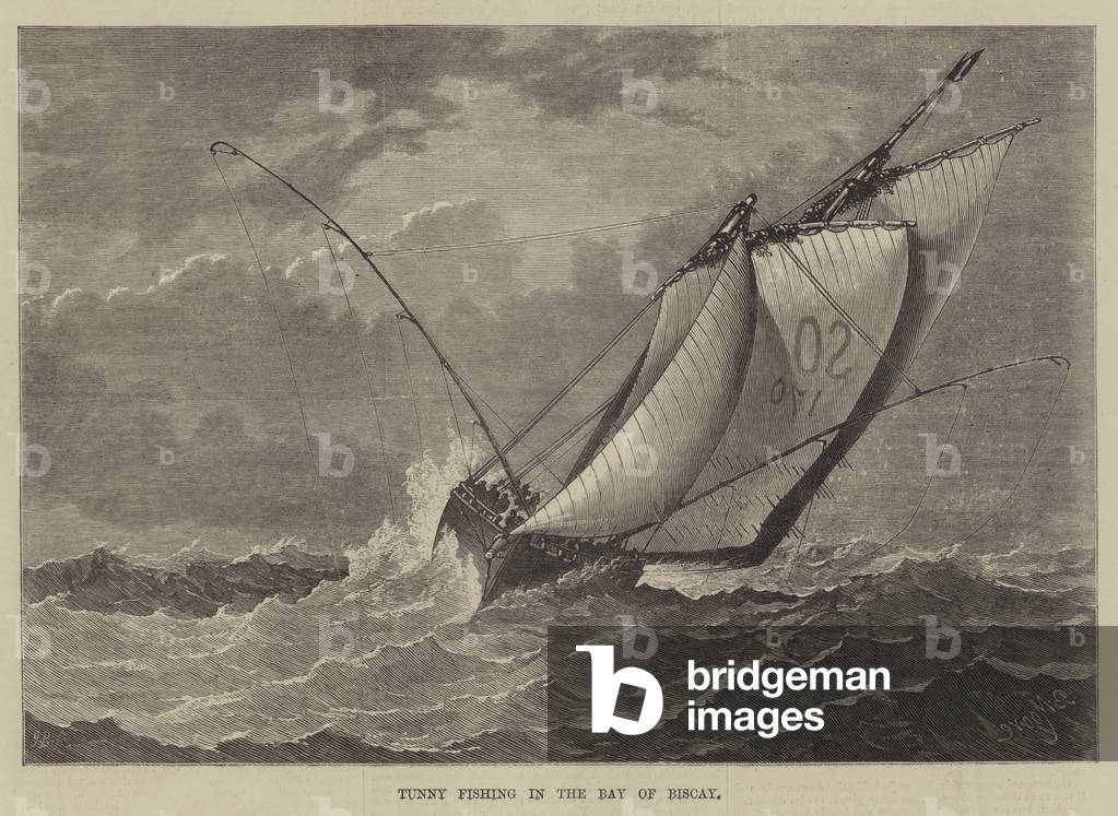 Tunny Fishing in the Bay of Biscay (engraving)