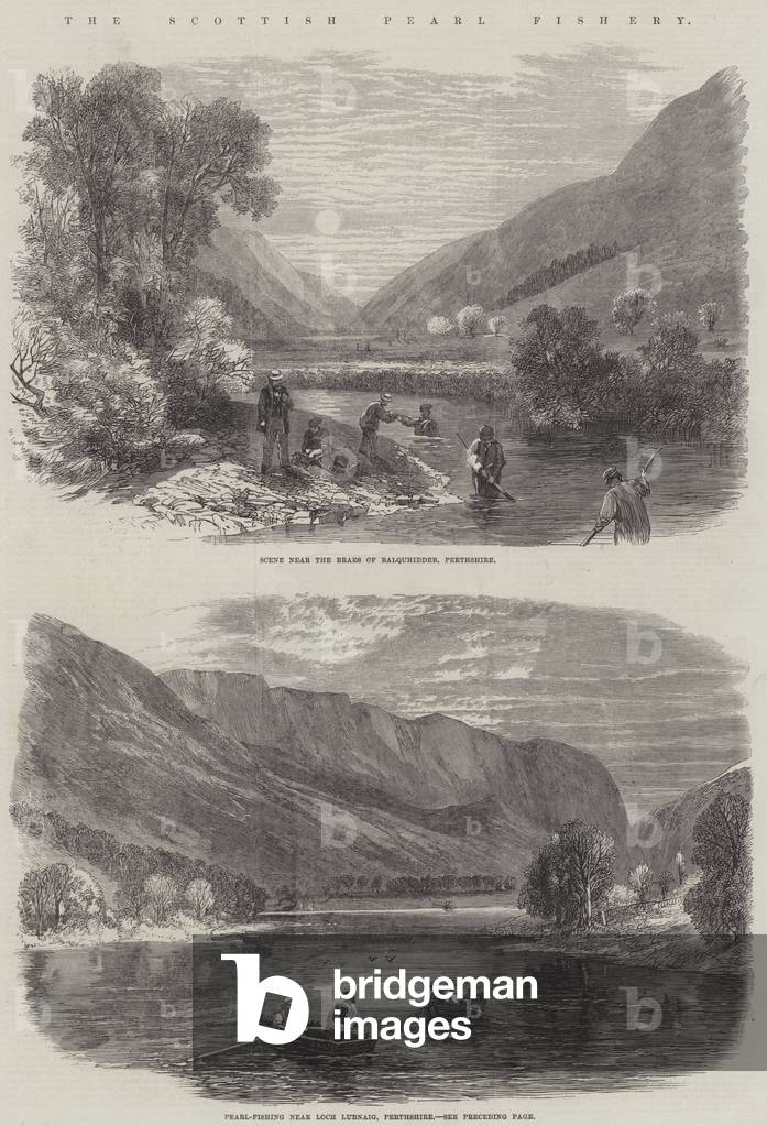 The Scottish Pearl Fishery (engraving)