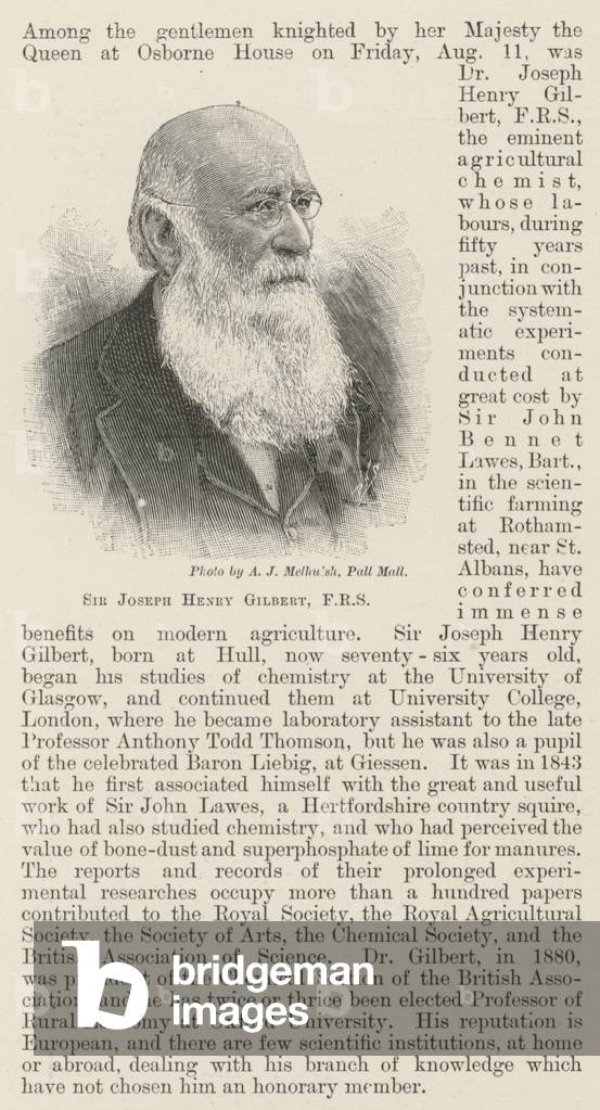 Sir Joseph Henry Gilbert, FRS (engraving)
