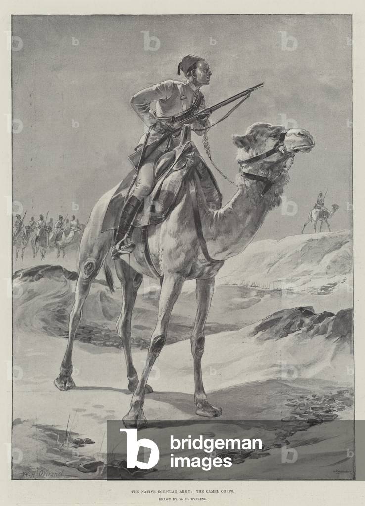 The Native Egyptian Army, the Camel Corps (engraving)