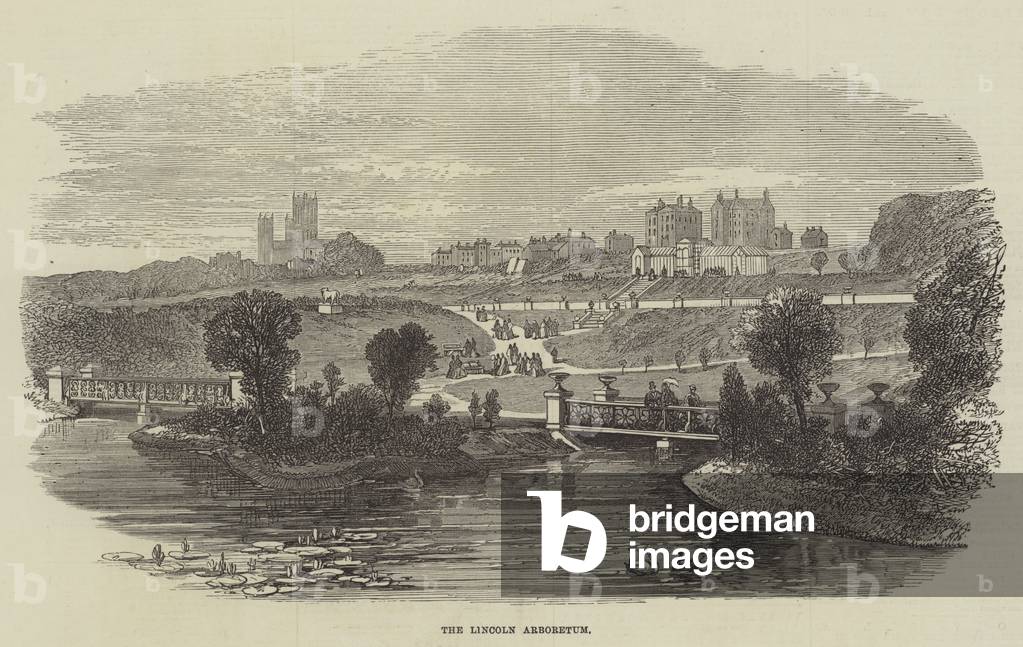 The Lincoln Arboretum (engraving)