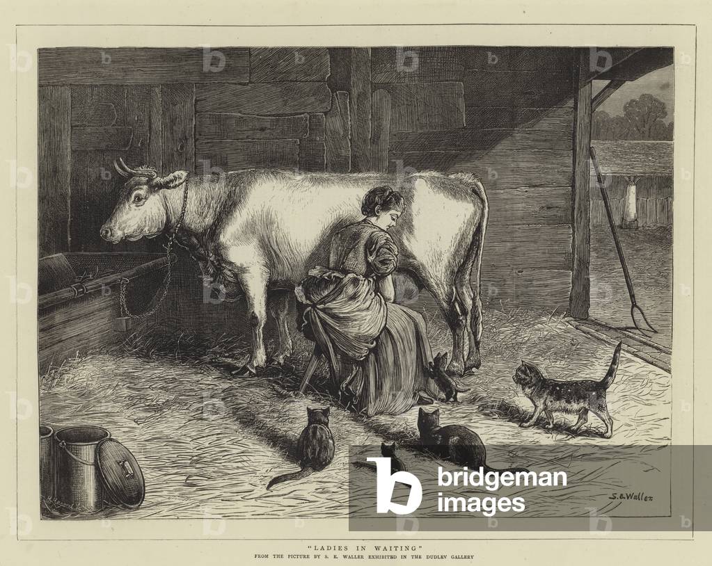Ladies in Waiting (engraving)