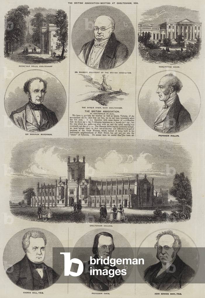 The British Association, Meeting at Cheltenham, 1856 (engraving)