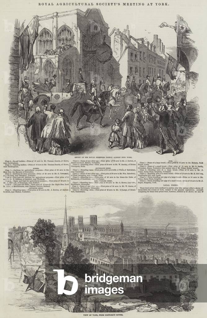 Royal Agricultural Society's Meeting, at York (engraving)