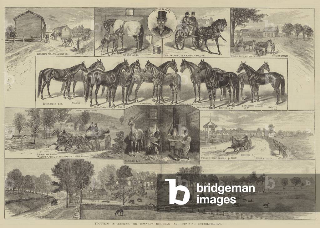 Trotting in America, Mr Bonner's Breeding and Training Establishment (engraving)
