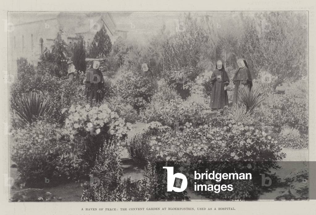A Haven of Peace, the Convent Garden at Bloemfontein, used as a Hospital (b/w photo)