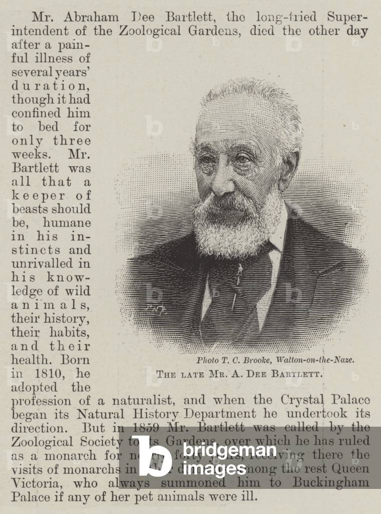 The late Mr A Dee Bartlett (engraving)