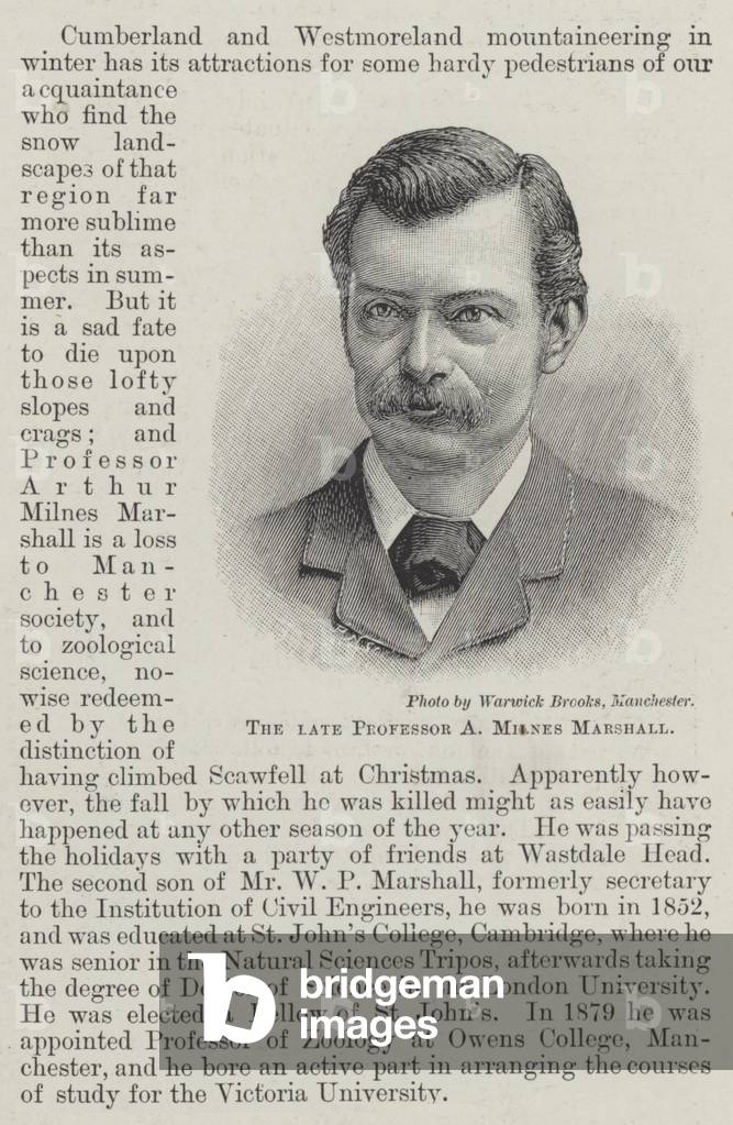 The late Professor A Milnes Marshall (engraving)