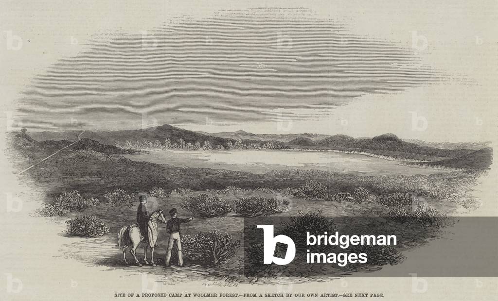 Site of a Proposed Camp at Woolmer Forest (engraving)